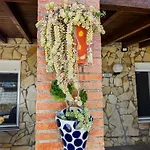 Landhaus Rosal- Solo Familias Y Parejas Conil De La Frontera