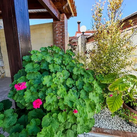 Landhaus Rosal- Solo Familias Y Parejas Conil De La Frontera