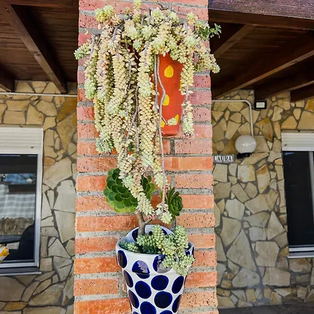 Landhaus Rosal- Solo Familias Y Parejas Conil De La Frontera